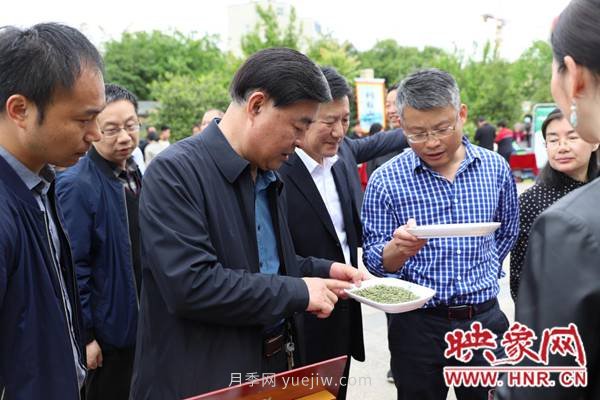 南陽桐柏:茶業(yè)紅火 茶人歡笑(圖3) 南陽桐柏:茶業(yè)紅火 茶人歡笑(圖3)