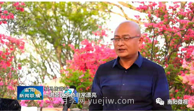 南陽(yáng)桐柏：萬(wàn)畝映山紅成游客打卡地(圖5)