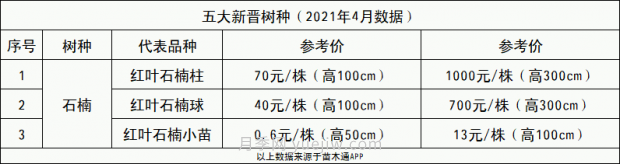 春季***近一個(gè)月成交量***高的十大苗木排行榜(圖4)