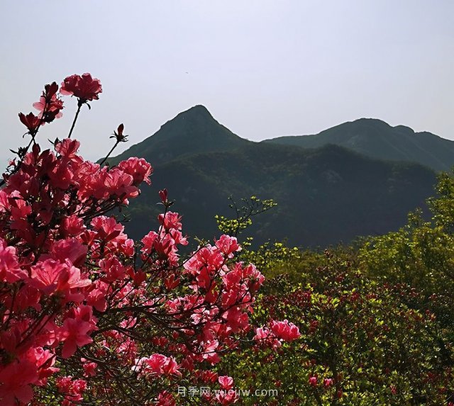 桐柏縣，淮河之源 坐標(biāo)桐柏山(圖2)