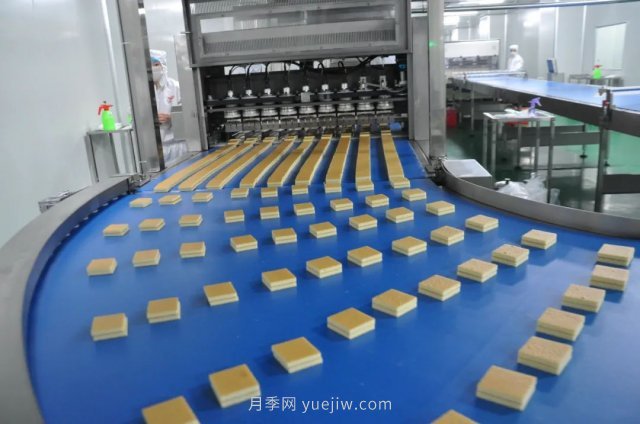 漯河打造農(nóng)業(yè)全產(chǎn)業(yè)鏈，實(shí)現(xiàn)航母級(jí)產(chǎn)業(yè)(圖3)