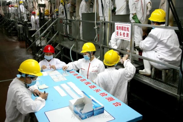 漯河打造農(nóng)業(yè)全產(chǎn)業(yè)鏈，實(shí)現(xiàn)航母級(jí)產(chǎn)業(yè)(圖4)