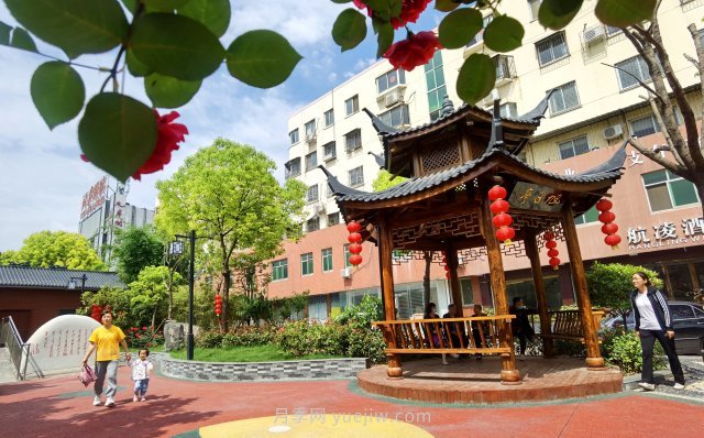 南陽(yáng)臥龍崗街道，廢墟變游園，月季景優(yōu)美(圖2)