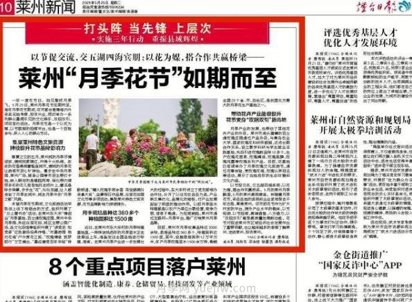 煙臺媒體聚焦萊州月季花節(jié)：一年一度 為你而“萊”(圖1)