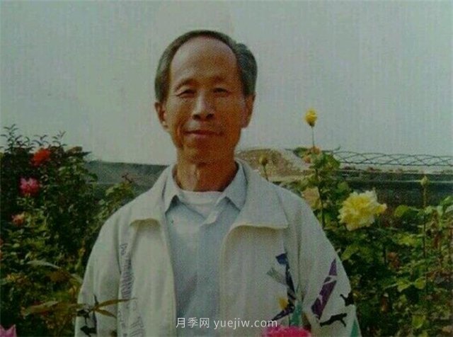 中國(guó)近現(xiàn)代月季育種家及其品種(圖10)