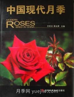 月季圖書：王世光，薛永卿《中國現(xiàn)代月季》(圖2)