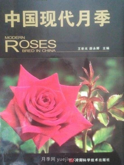 月季圖書：王世光，薛永卿《中國現(xiàn)代月季》(圖1)