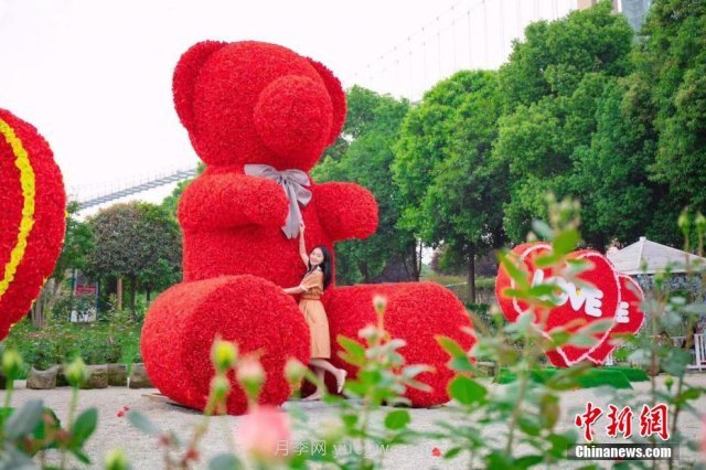 成都玫瑰花海吸引游客 匯集世界各地700余種頂級(jí)玫瑰(圖5)