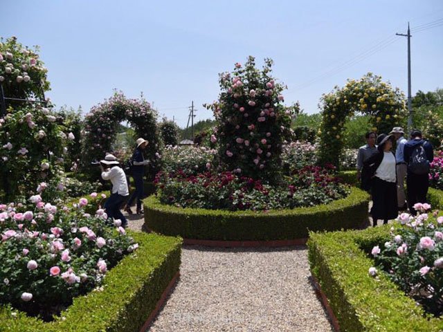 城市公園中使用綠雕應(yīng)該注意哪些問題？(圖1)