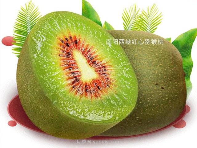 西峽獼猴桃介殼蟲(chóng)的危害(圖1)