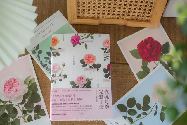 月季圖書(shū)：元木春美《玫瑰月季完整手冊(cè)》(圖2)