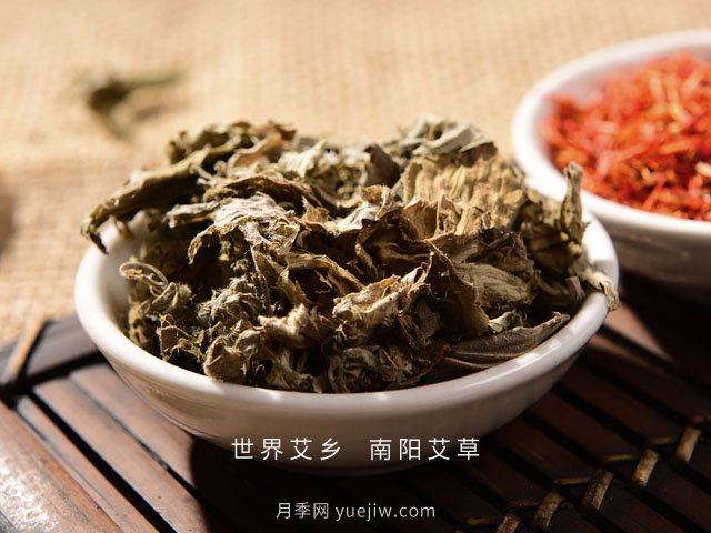 宛艾！南陽艾草產業(yè)志在出圈，怎借東風成就世界艾鄉(xiāng)？(圖2)