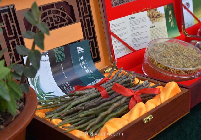 華潤三九赴南召縣開展中藥材產(chǎn)業(yè)調(diào)研(圖1)