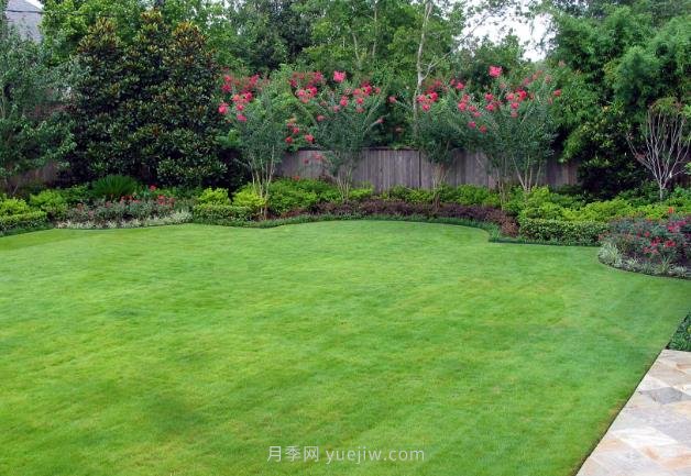 簡單的草坪和不簡單的設(shè)計(jì)(圖1)