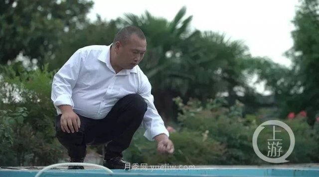 南陽鎮(zhèn)平：“中國錦鯉**村”的三代養(yǎng)魚人(圖2)