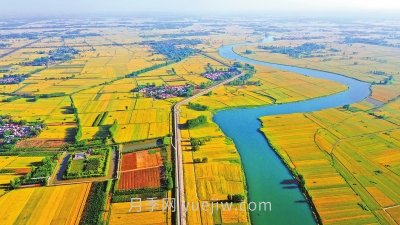 駐馬店農(nóng)業(yè)：國(guó)際農(nóng)都?xì)馊绾?圖1)
