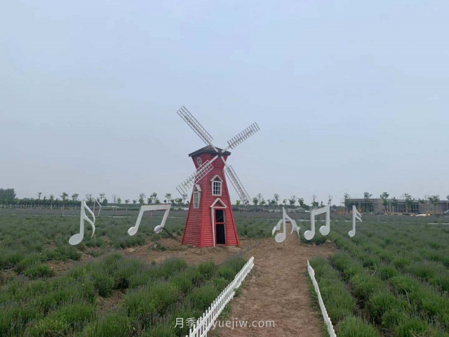聊城芳香文化博覽園，鄉(xiāng)村振興巾幗示范基地(圖3)