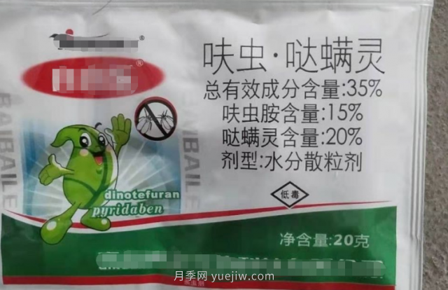 7月月季常爆發(fā)這3種蟲害，對癥下藥無煩惱(圖7)