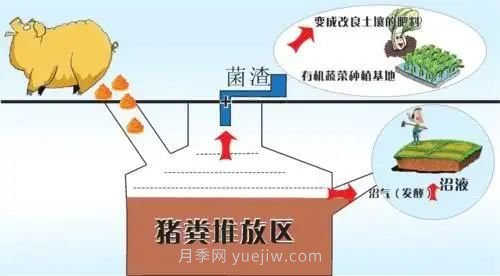 中國(guó)生態(tài)農(nóng)業(yè)的主要模式(圖2) 中國(guó)生態(tài)農(nóng)業(yè)的主要模式(圖2)