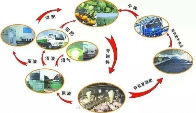中國(guó)生態(tài)農(nóng)業(yè)的主要模式(圖3) 中國(guó)生態(tài)農(nóng)業(yè)的主要模式(圖3)