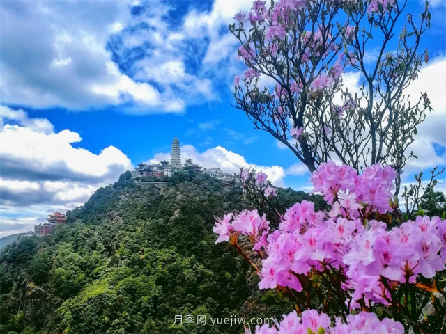 七月，邂逅大理雞足山極致風(fēng)光！(圖1)