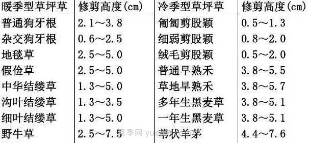 景觀草坪修剪全攻略，實(shí)用干貨分享(圖2)