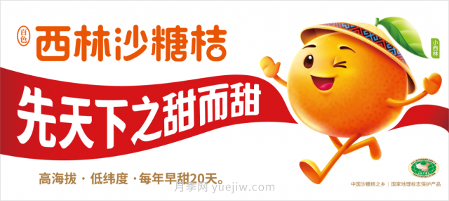 第三屆云果會盛大開幕，助力云南打造世界一流綠色食品牌(圖6)