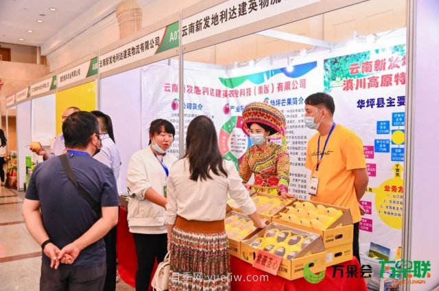 第三屆云果會盛大開幕，助力云南打造世界一流綠色食品牌(圖7)