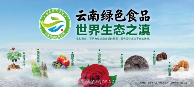 第三屆云果會盛大開幕，助力云南打造世界一流綠色食品牌(圖1)