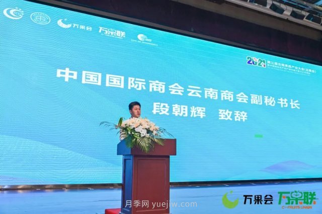 第三屆云果會盛大開幕，助力云南打造世界一流綠色食品牌(圖3)