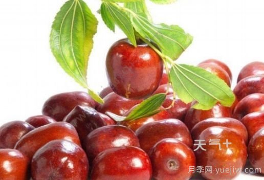 南陽市淅川縣的出名特產(chǎn)有哪些？(圖4)