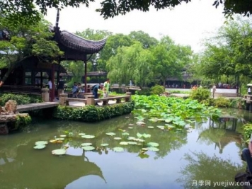 如何做好園林綠化工程決算？
