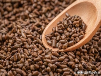 種植哪些藥材前景好？3種中藥材用途廣收益高前景好