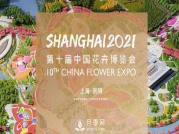 5月，第十屆中國花博會將在崇明拉開帷幕