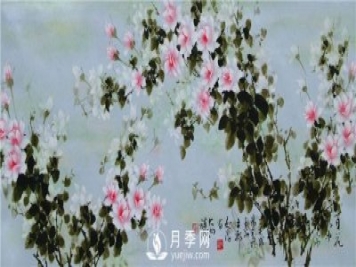 “月季花濕法畫(huà)法第一人”王躍進(jìn)廈門辦專題月季展