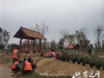 醉美泗陽，月季花海，第十一屆中國月季展覽會(huì)4月28日開幕