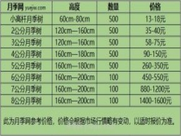 1-10公分月季樹價格是多少？樹狀月季5月報價單！