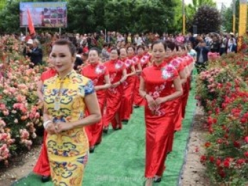西安鄠邑區(qū)首屆月季花節(jié)開幕，爭奇斗艷迎賓客