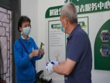 送你一枝月季，許你一束繁花，武漢百余市民領(lǐng)到月季扦插枝條