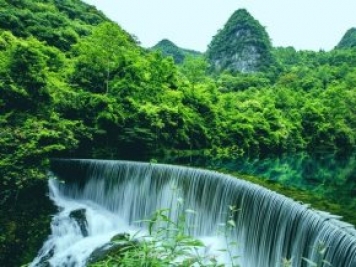 貴州特色林業(yè)產(chǎn)業(yè)基地達1078萬畝