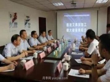 推進(jìn)艾草深加工，做大做強(qiáng)南陽艾，主題座談會成功召開