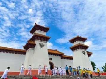 南陽(yáng)中藥材種植面積185萬(wàn)畝 艾草年銷售額達(dá)110億元