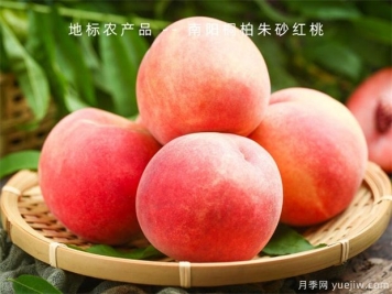 桃樹怎么管理大全？桃樹周年管理月歷表
