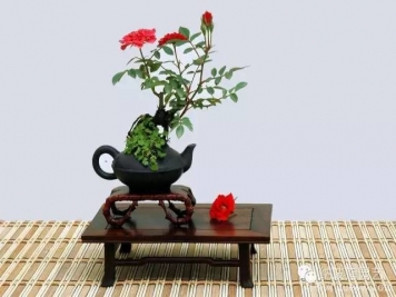 如何制作漂亮的月季盆景？藝術(shù)品來了