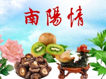 南陽西峽：實(shí)施知識產(chǎn)權(quán)強(qiáng)縣戰(zhàn)略