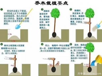 市政道路景觀規(guī)劃設(shè)計的主要手法18個問題