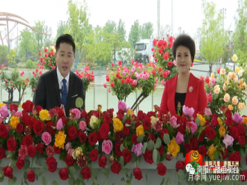 2022年第十三屆南陽月季花會開幕，南陽電臺全媒體直播