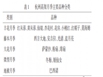 高架月季盆栽規(guī)?；B(yǎng)護技術