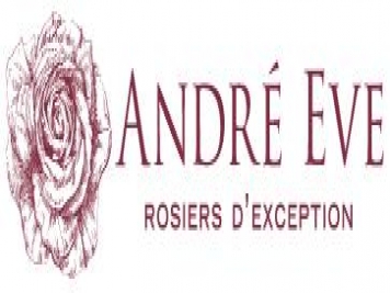 月季育種家：法國(guó)Roses Anciennes André Eve(安德烈伊芙)