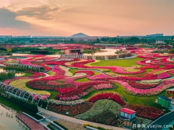 2023首屆世界月季博覽會八大亮點(diǎn)匯總